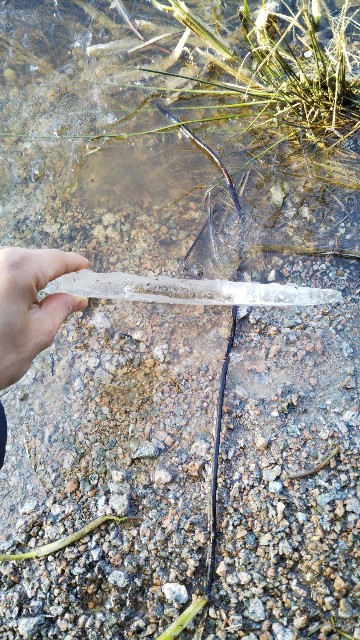 f:id:PALLAGEEM:20180320124421j:plain