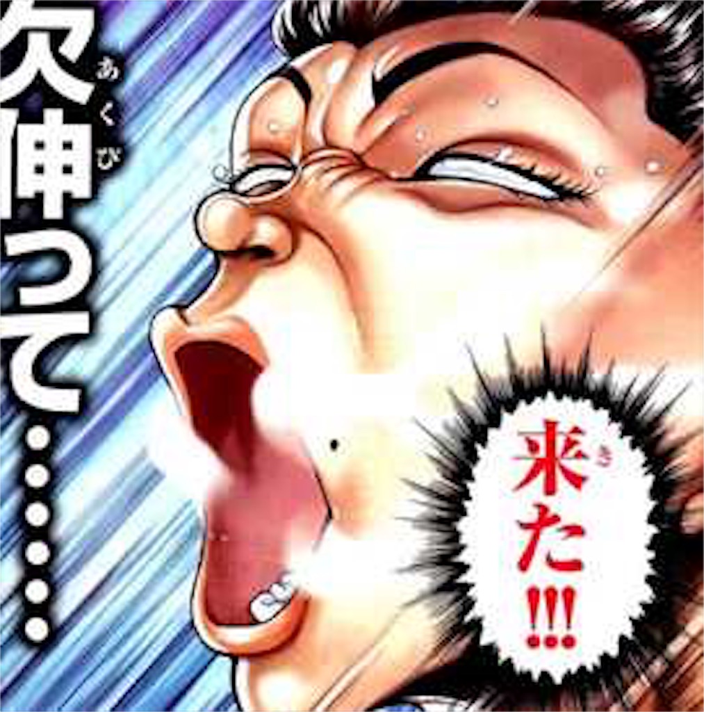 f:id:PALLAGEEM:20181001040617j:image