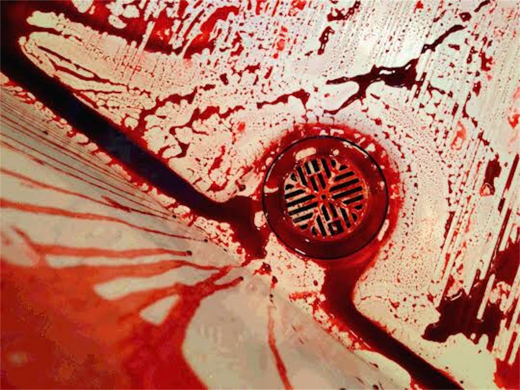 f:id:PALLAGEEM:20190524170332j:image