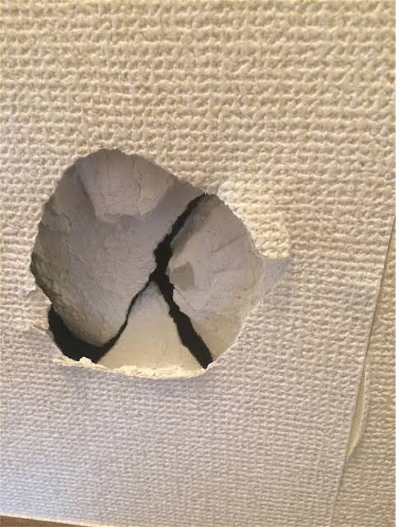 f:id:PALLAGEEM:20200510213148j:image