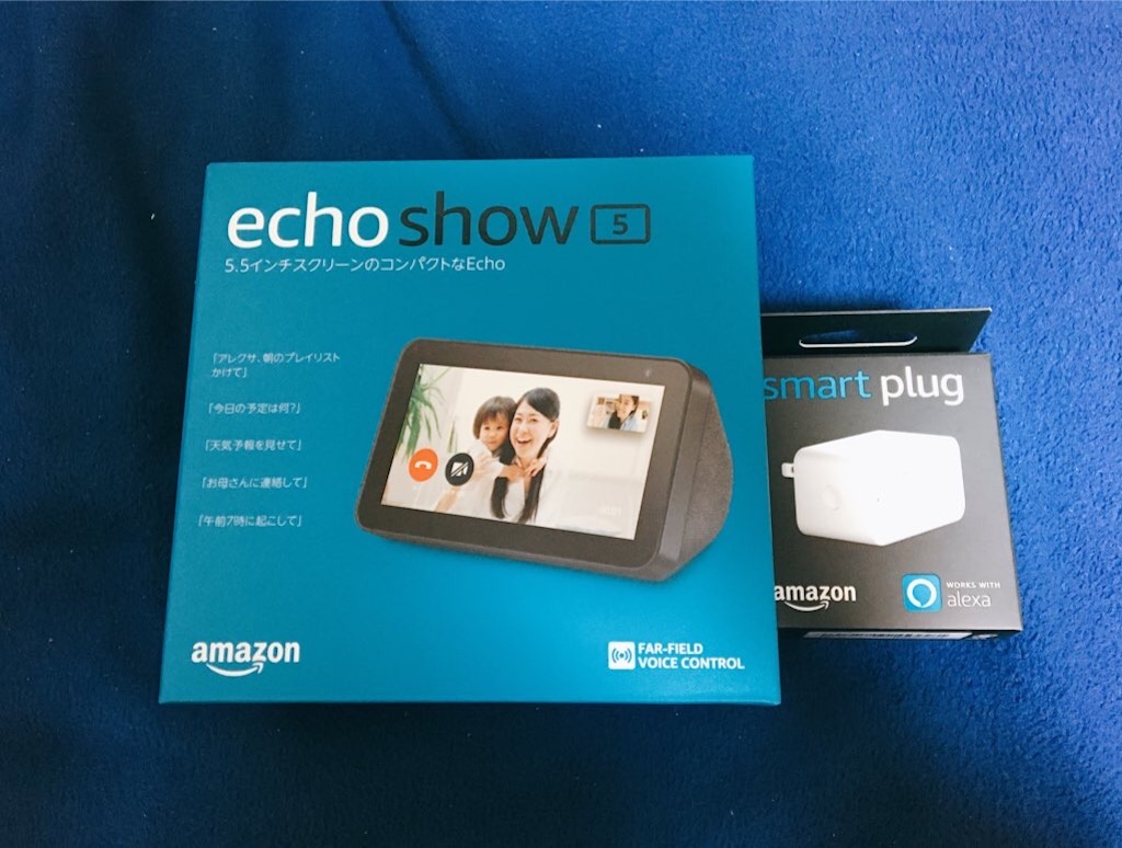 f:id:PALLAGEEM:20210103234428j:plain