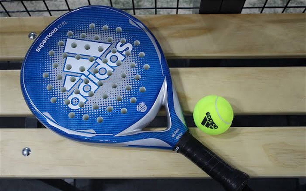 f:id:PALLAGEEM:20210107225354j:plain