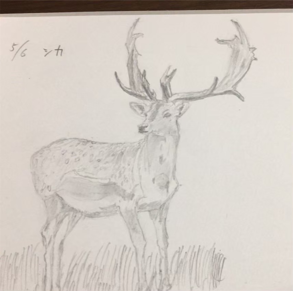 f:id:PALLAGEEM:20210616223619j:plain