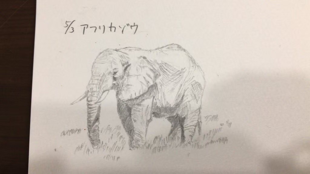 f:id:PALLAGEEM:20210616223622j:plain