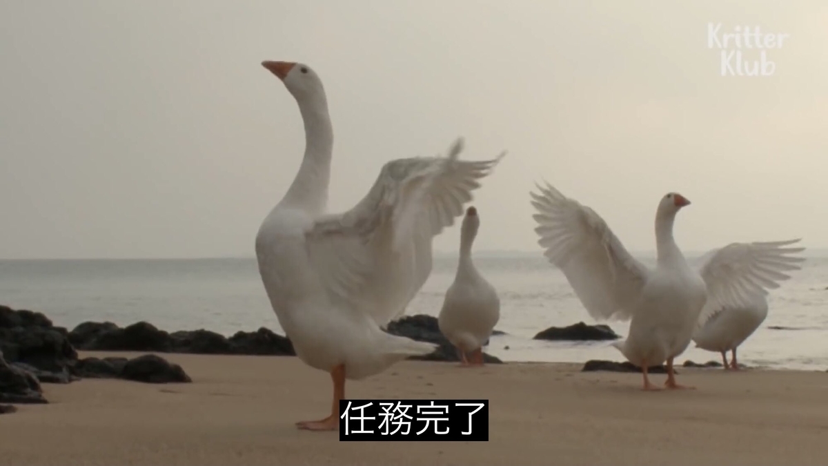 f:id:PALLAGEEM:20210712235544j:plain