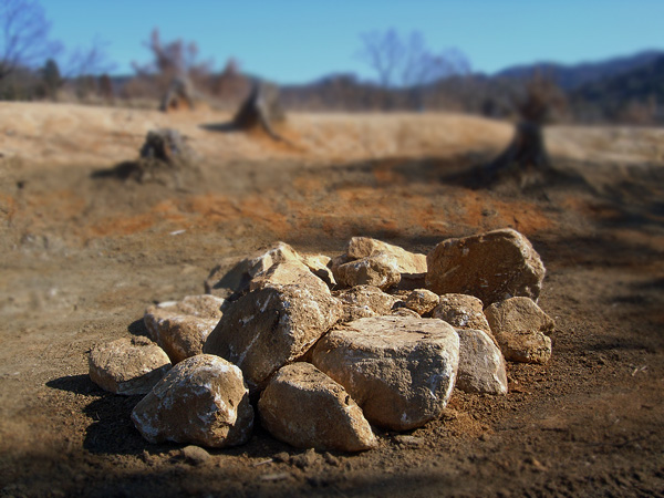 f:id:PANALI:20100129222407j:image