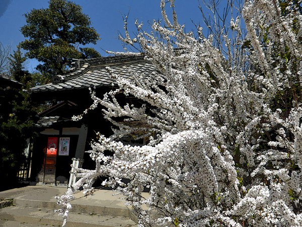 f:id:PANALI:20160322221609j:image