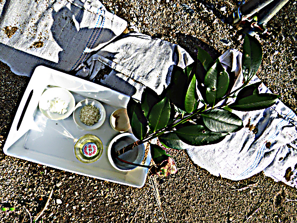 f:id:PANALI:20191023222822j:plain