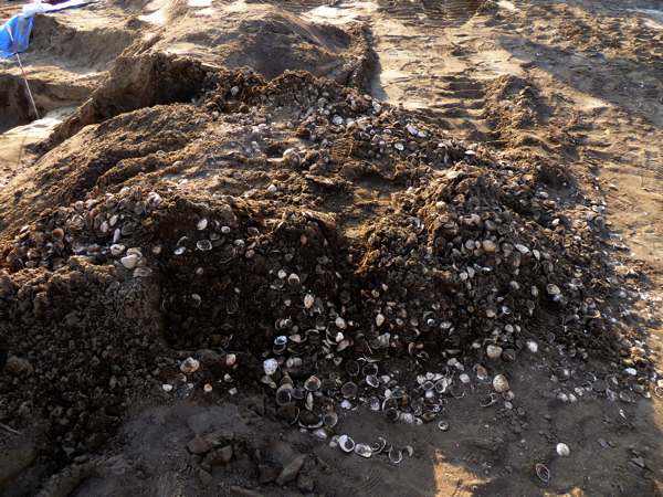 f:id:PANALI:20191102133716j:plain