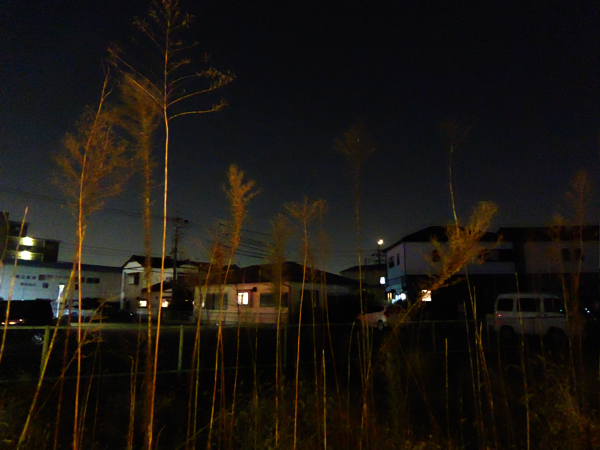 f:id:PANALI:20191102133801j:plain