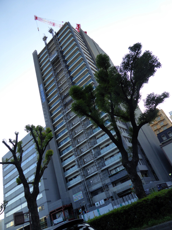 f:id:PANALI:20191103005708j:plain
