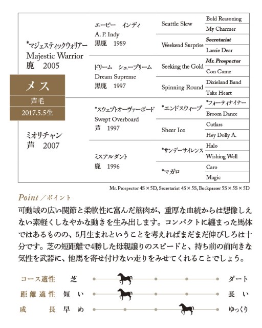 f:id:PANDA100HP:20181126235737j:image