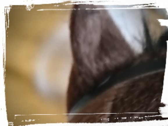 f:id:PANDA100HP:20200202214141j:image