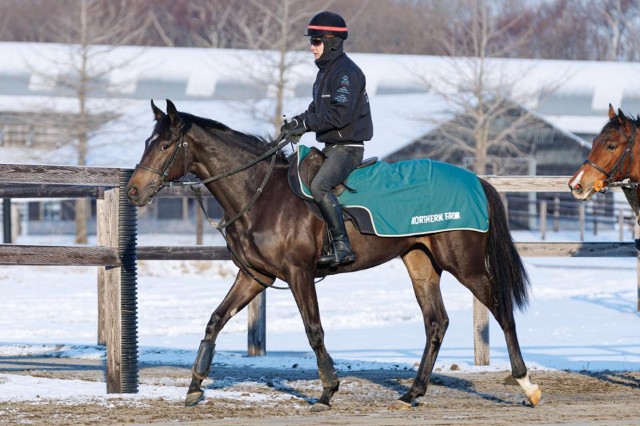 期待の2歳馬2頭、その名は… - from1987