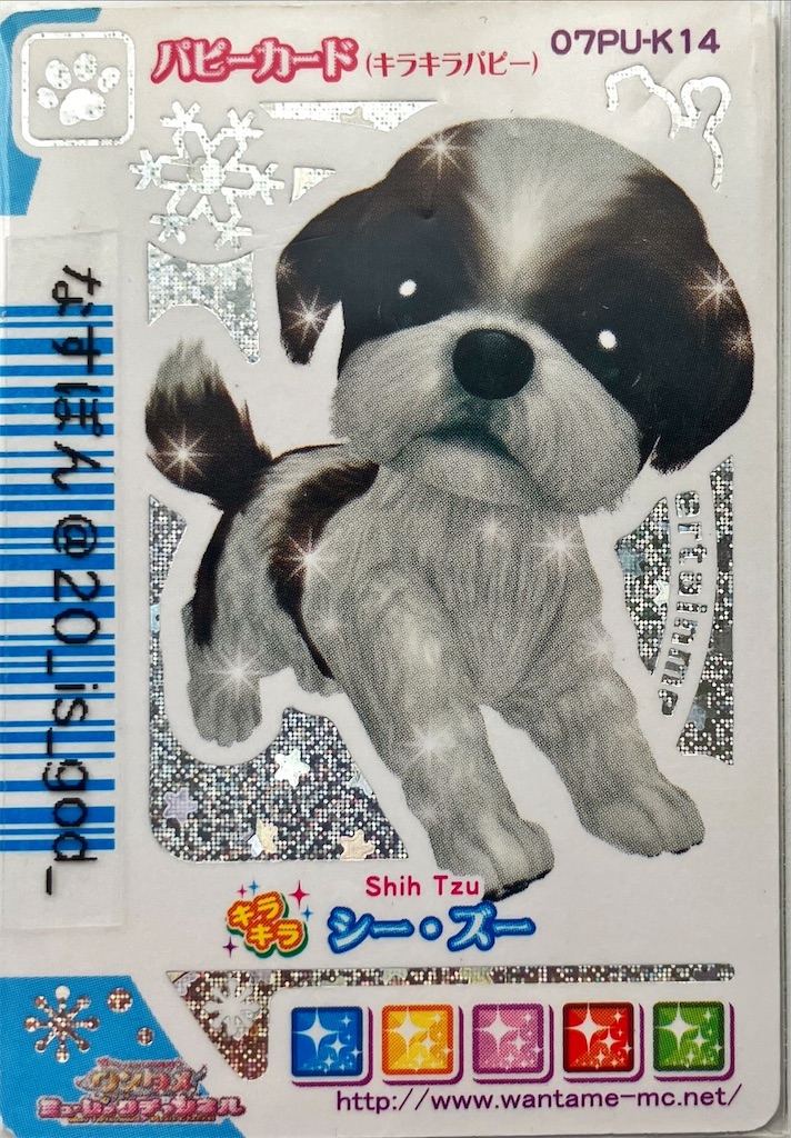 ワンタメカード　キラキラ裏表カード ワンタメカード キラキラ裏表カード 番外編】ワンタメ(カードのお