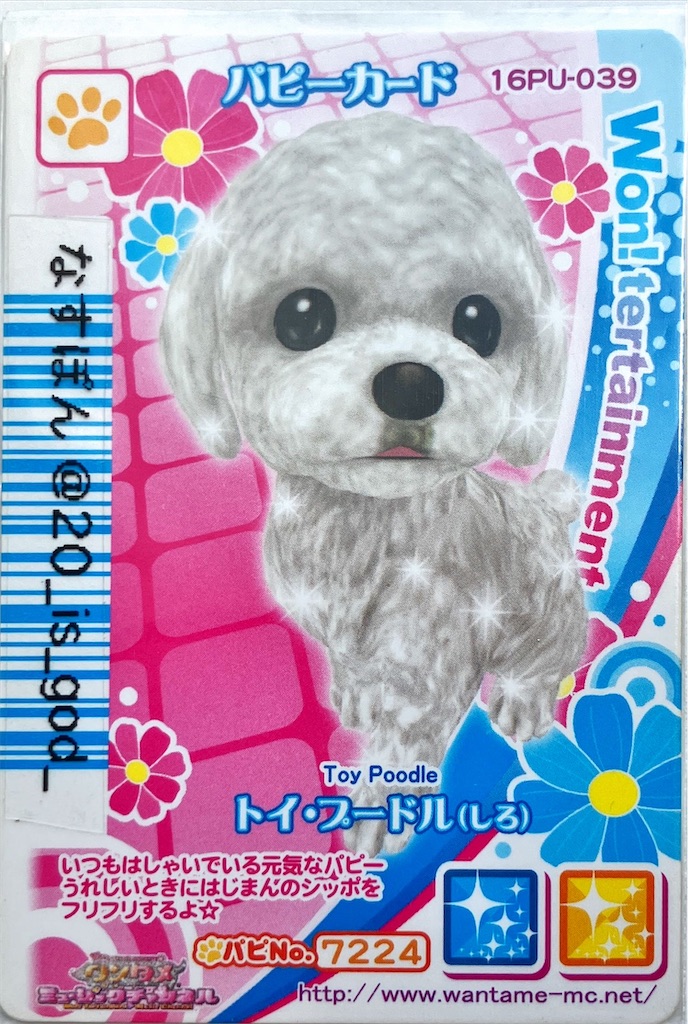 ワンタメカード 第16弾（2009秋 キュート☆プロジェクトバージョン、か