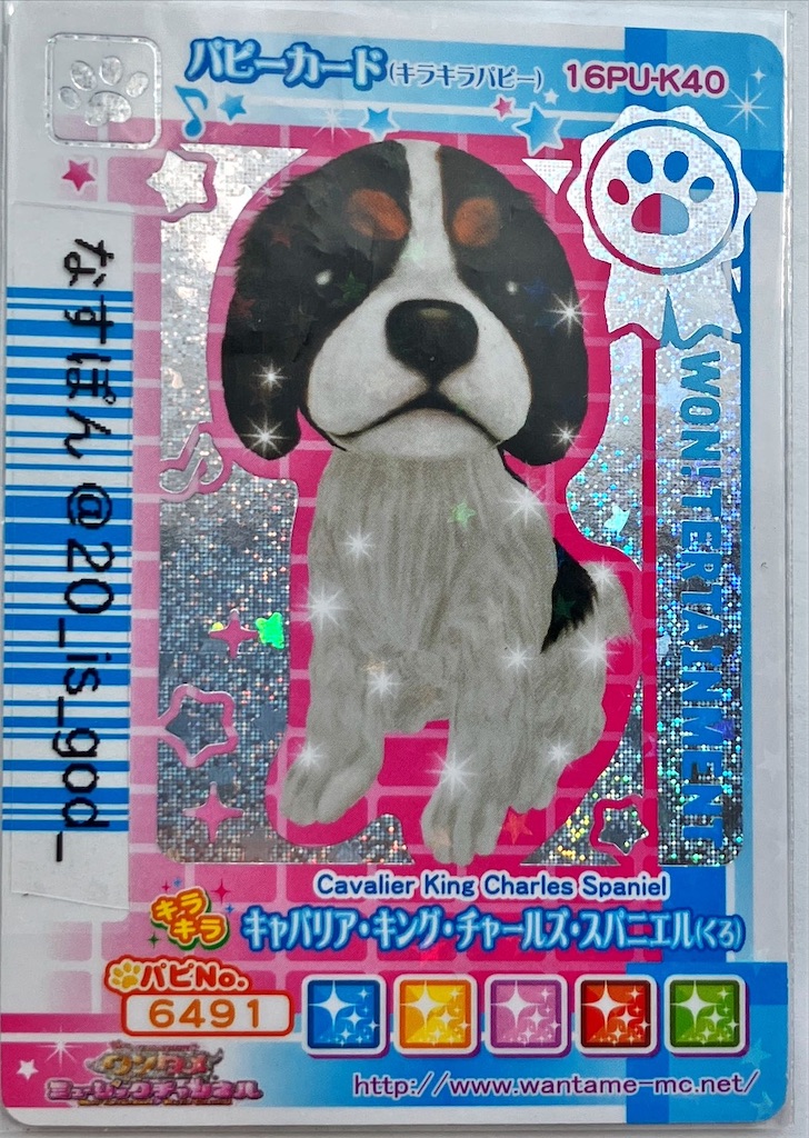 ワンタメカード 第16弾（2009秋 キュート☆プロジェクトバージョン、か