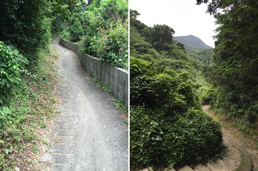 f:id:PARM:20160716173030j:plain f:id:PARM:20160716173030j:plain