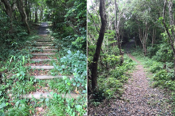 f:id:PARM:20160716174106j:plain f:id:PARM:20160716174106j:plain