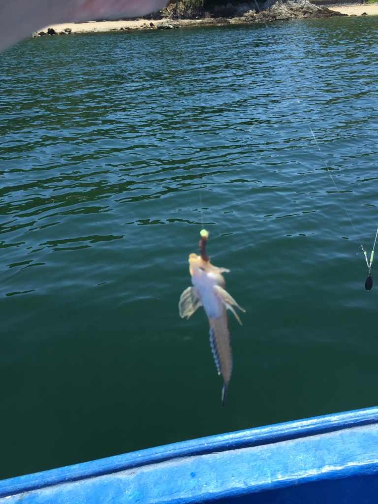 f:id:PARM:20160719222119j:plain f:id:PARM:20160719222119j:plain