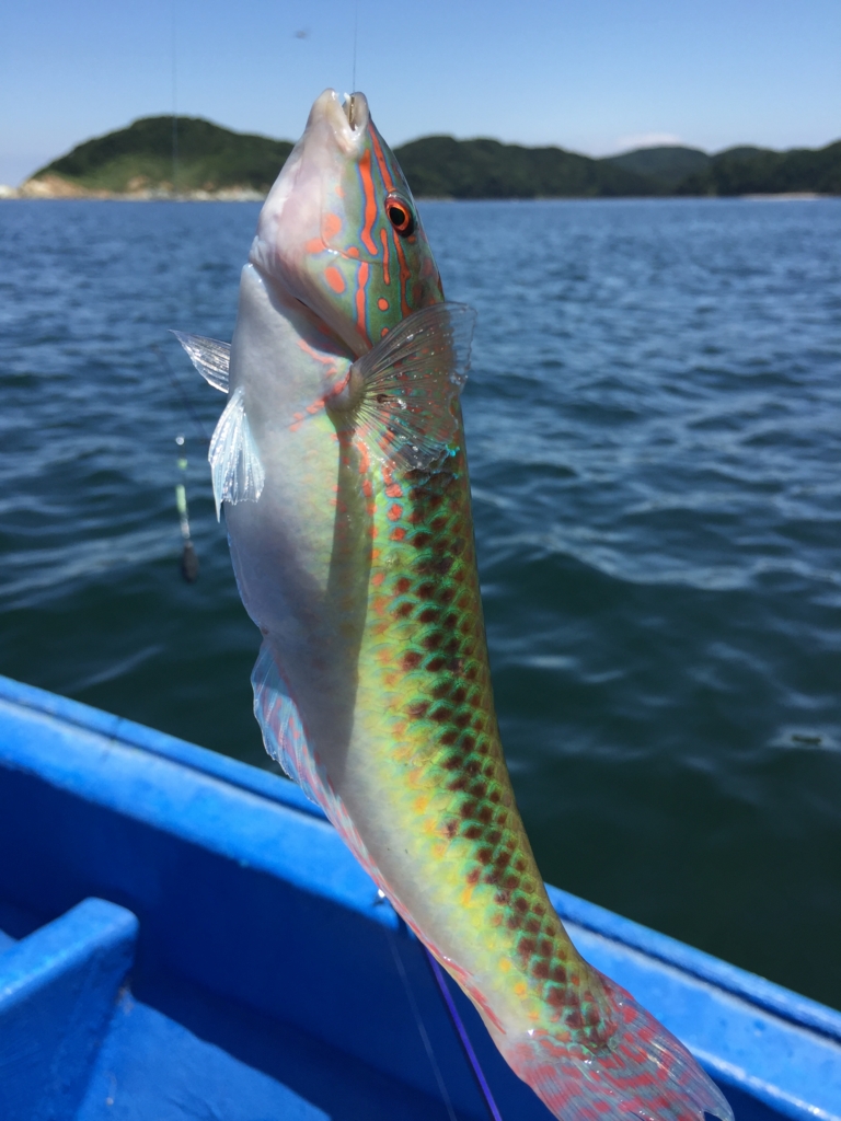 f:id:PARM:20160719222823j:plain f:id:PARM:20160719222823j:plain