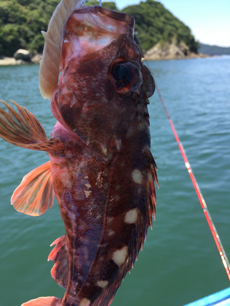 f:id:PARM:20160719223203j:plain f:id:PARM:20160719223203j:plain