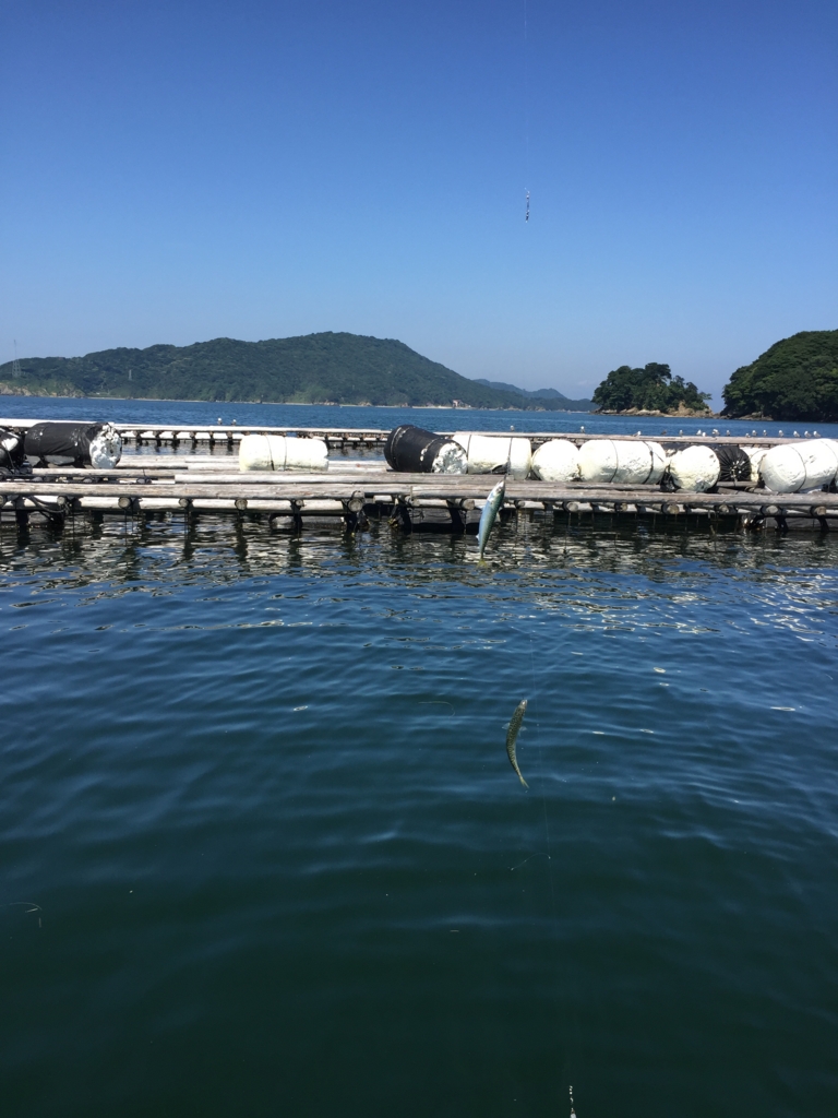 f:id:PARM:20160719224315j:plain f:id:PARM:20160719224315j:plain