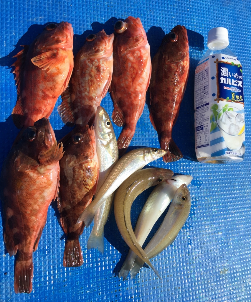 f:id:PARM:20160719225537j:plain f:id:PARM:20160719225537j:plain