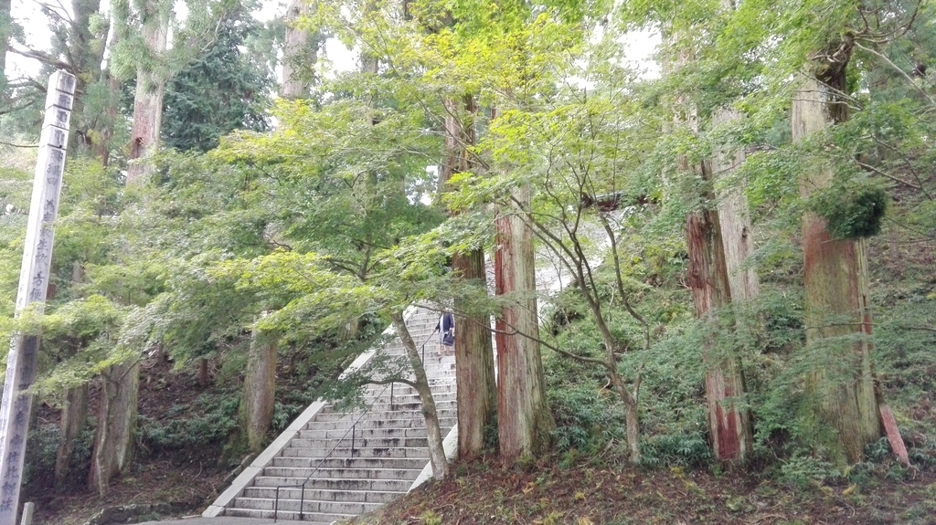 f:id:PARM:20181005215416j:plain f:id:PARM:20181005215416j:plain