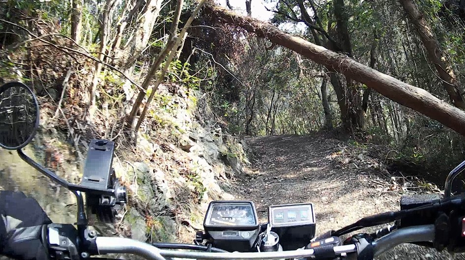 f:id:PARM:20190320225148j:plain f:id:PARM:20190320225148j:plain