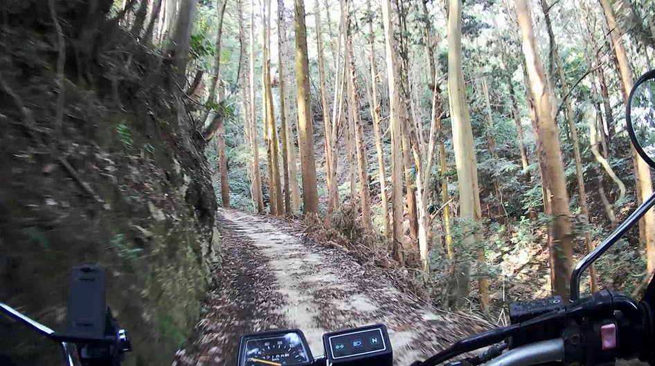 f:id:PARM:20190320225630j:plain f:id:PARM:20190320225630j:plain