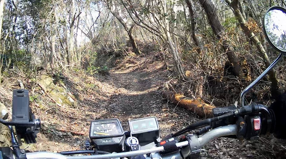 f:id:PARM:20190320225705j:plain f:id:PARM:20190320225705j:plain