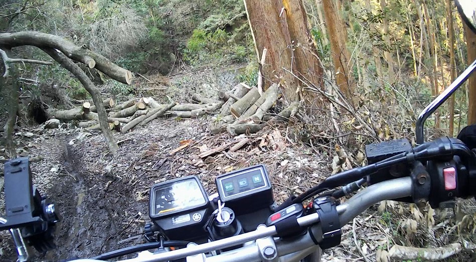 f:id:PARM:20190320233412j:plain f:id:PARM:20190320233412j:plain