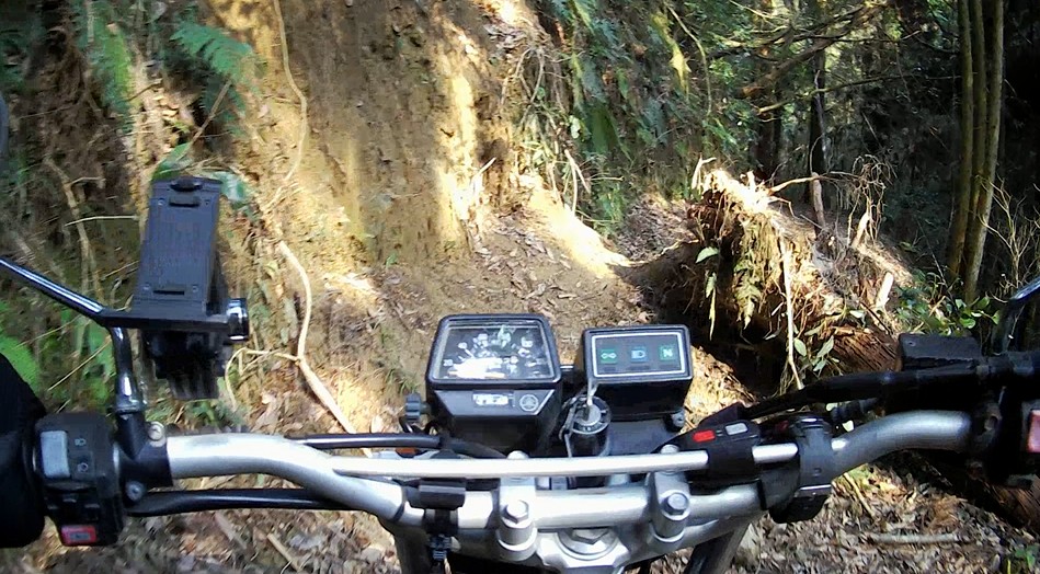 f:id:PARM:20190320233650j:plain f:id:PARM:20190320233650j:plain