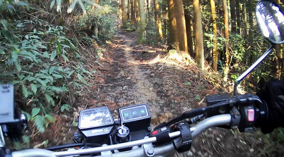 f:id:PARM:20190320233821j:plain f:id:PARM:20190320233821j:plain