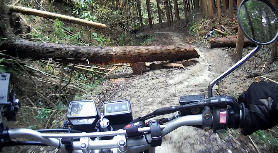 f:id:PARM:20190320234644j:plain f:id:PARM:20190320234644j:plain