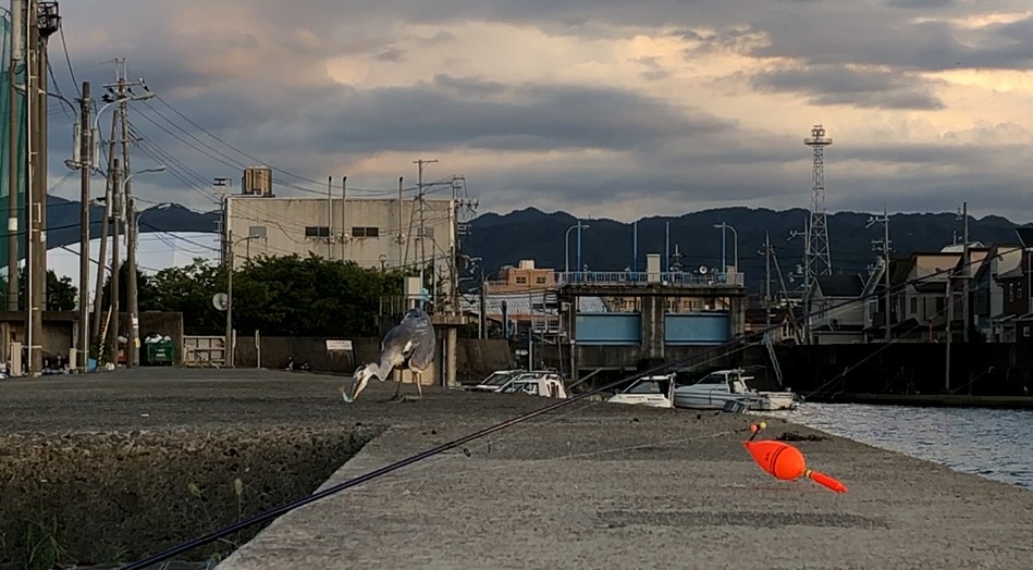 f:id:PARM:20190913112555j:plain f:id:PARM:20190913112555j:plain