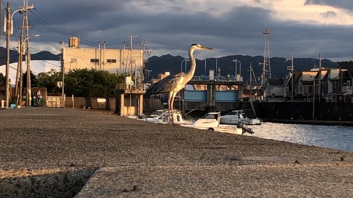 f:id:PARM:20190913112621j:plain f:id:PARM:20190913112621j:plain