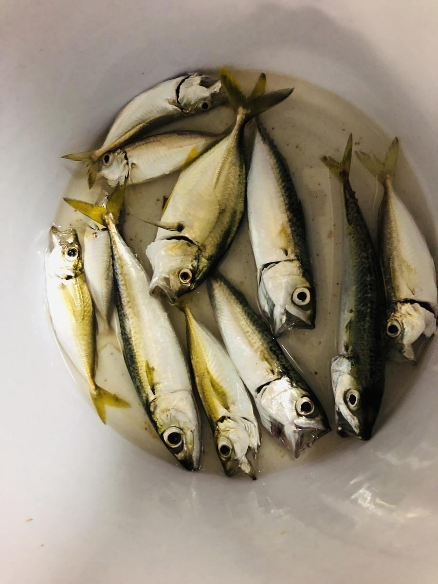 f:id:PARM:20190913112904j:plain f:id:PARM:20190913112904j:plain