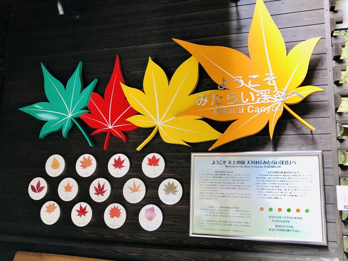 f:id:PARM:20201108224416j:plain f:id:PARM:20201108224416j:plain