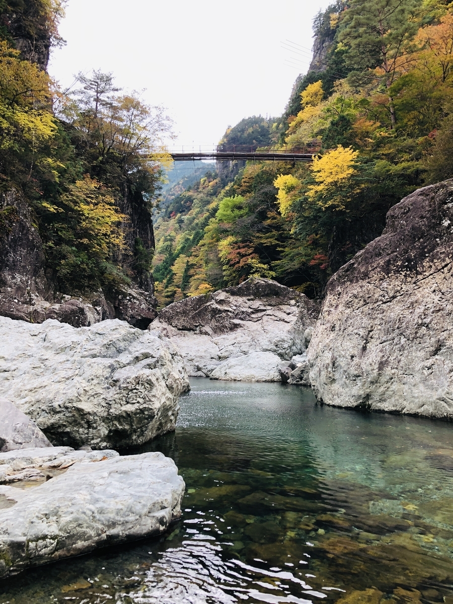 f:id:PARM:20201108224929j:plain f:id:PARM:20201108224929j:plain