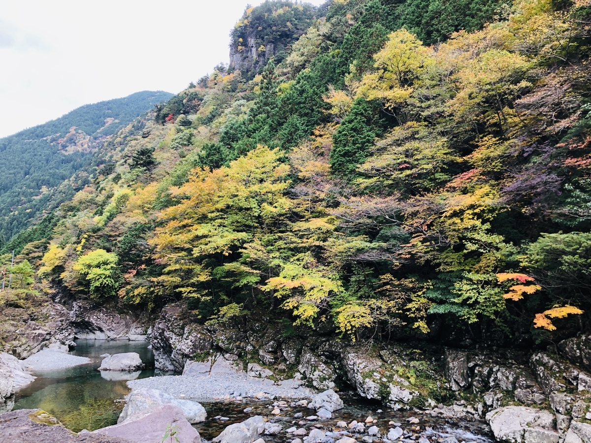 f:id:PARM:20201108225003j:plain f:id:PARM:20201108225003j:plain