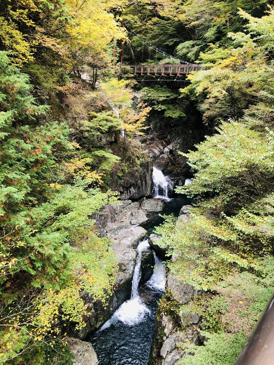 f:id:PARM:20201108225624j:plain f:id:PARM:20201108225624j:plain