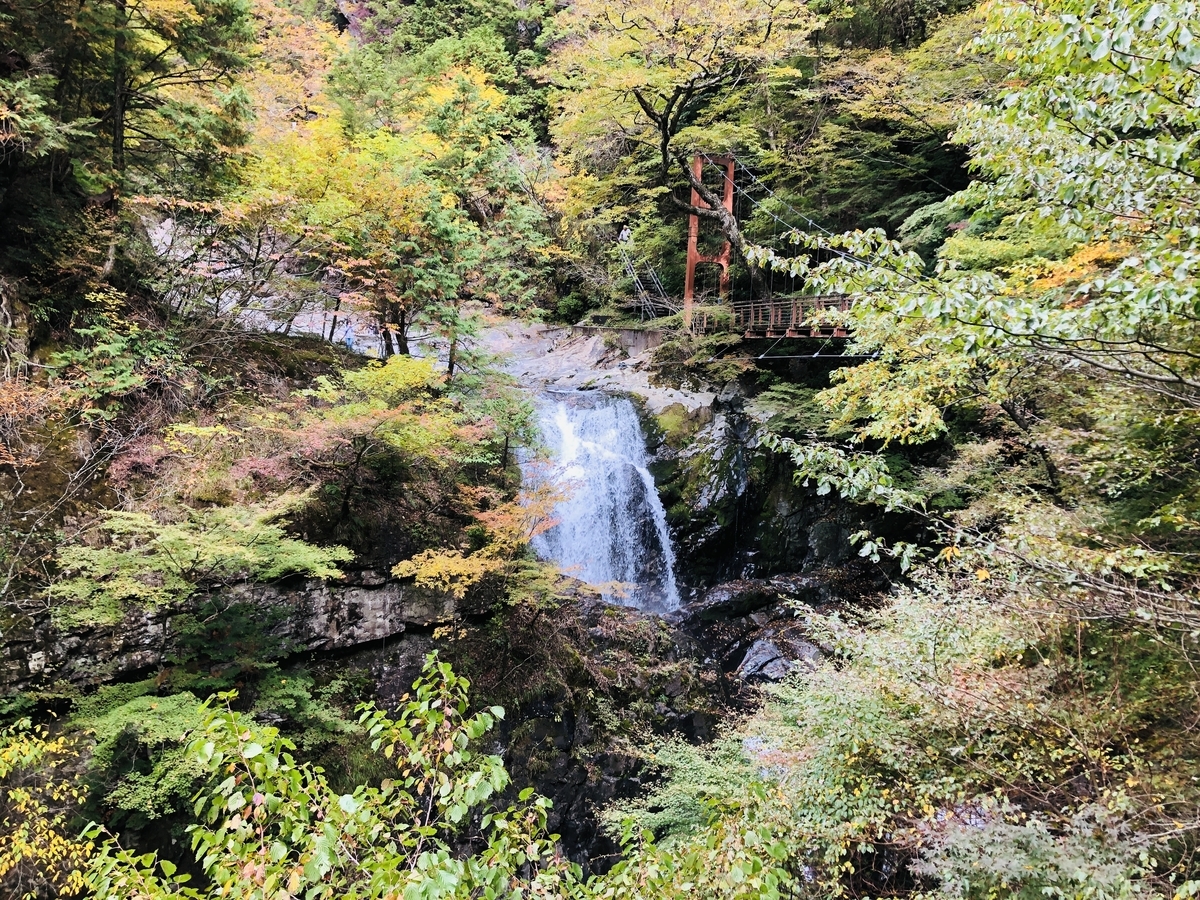 f:id:PARM:20201108225729j:plain f:id:PARM:20201108225729j:plain