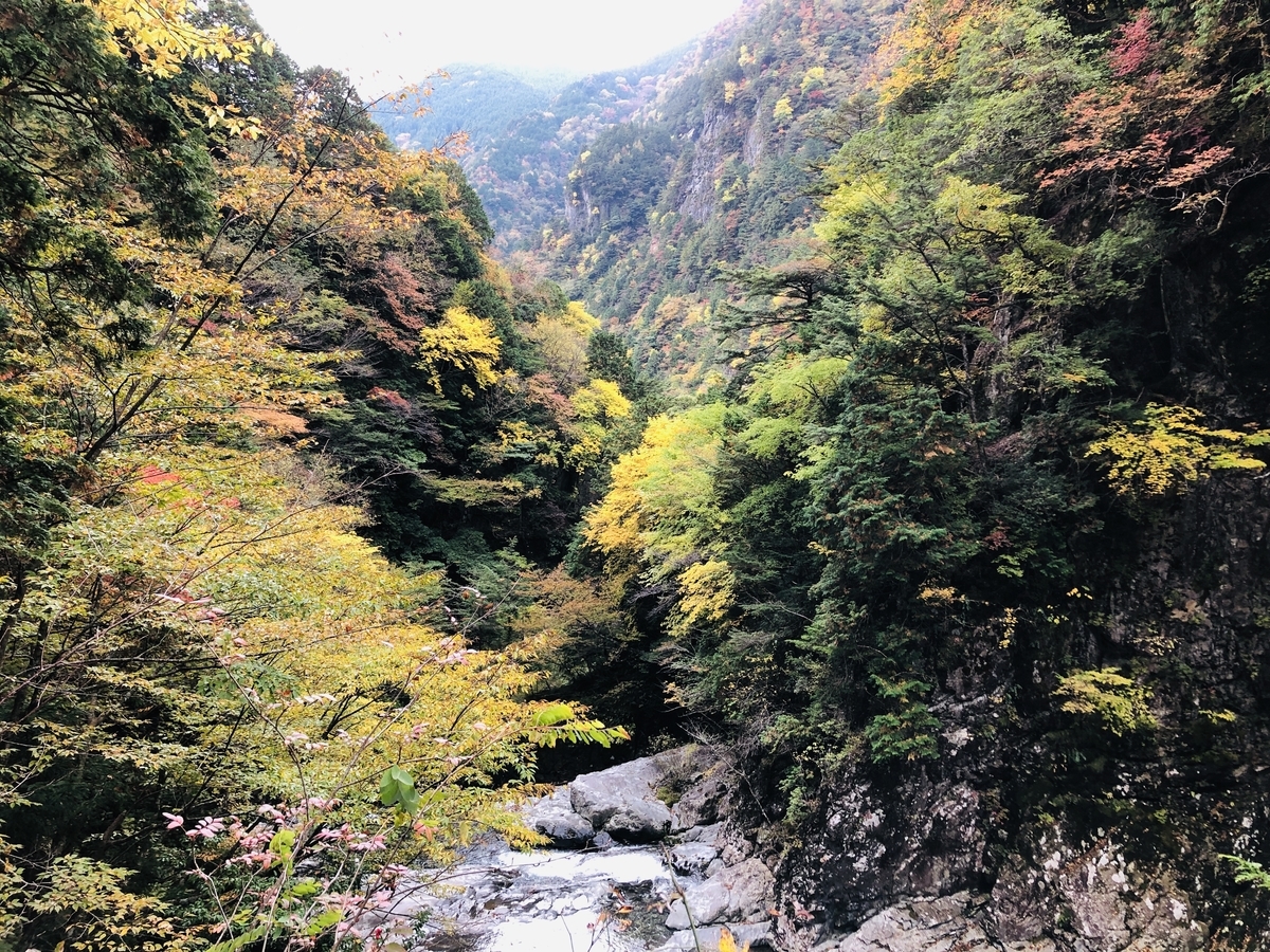 f:id:PARM:20201108225753j:plain f:id:PARM:20201108225753j:plain