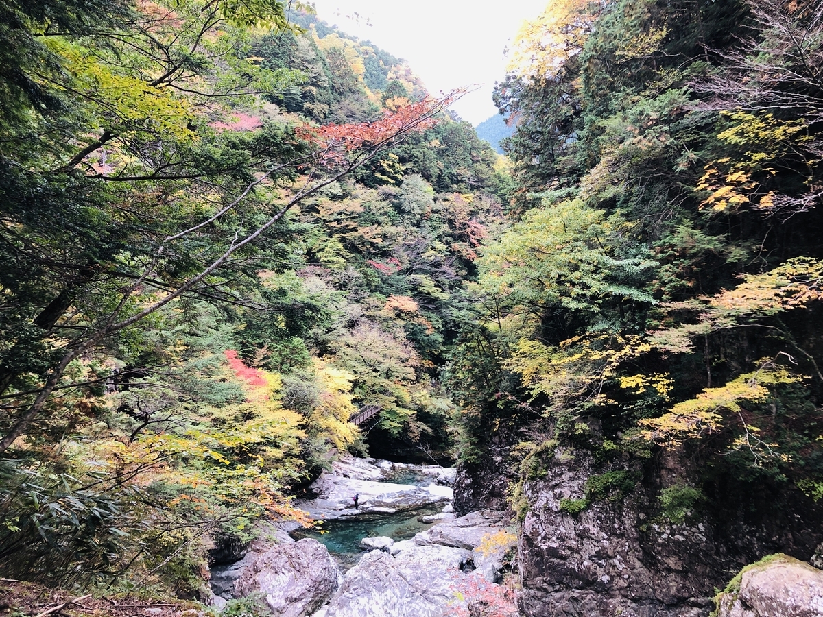 f:id:PARM:20201108230114j:plain f:id:PARM:20201108230114j:plain