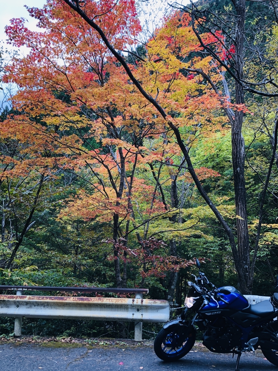 f:id:PARM:20201108230137j:plain f:id:PARM:20201108230137j:plain