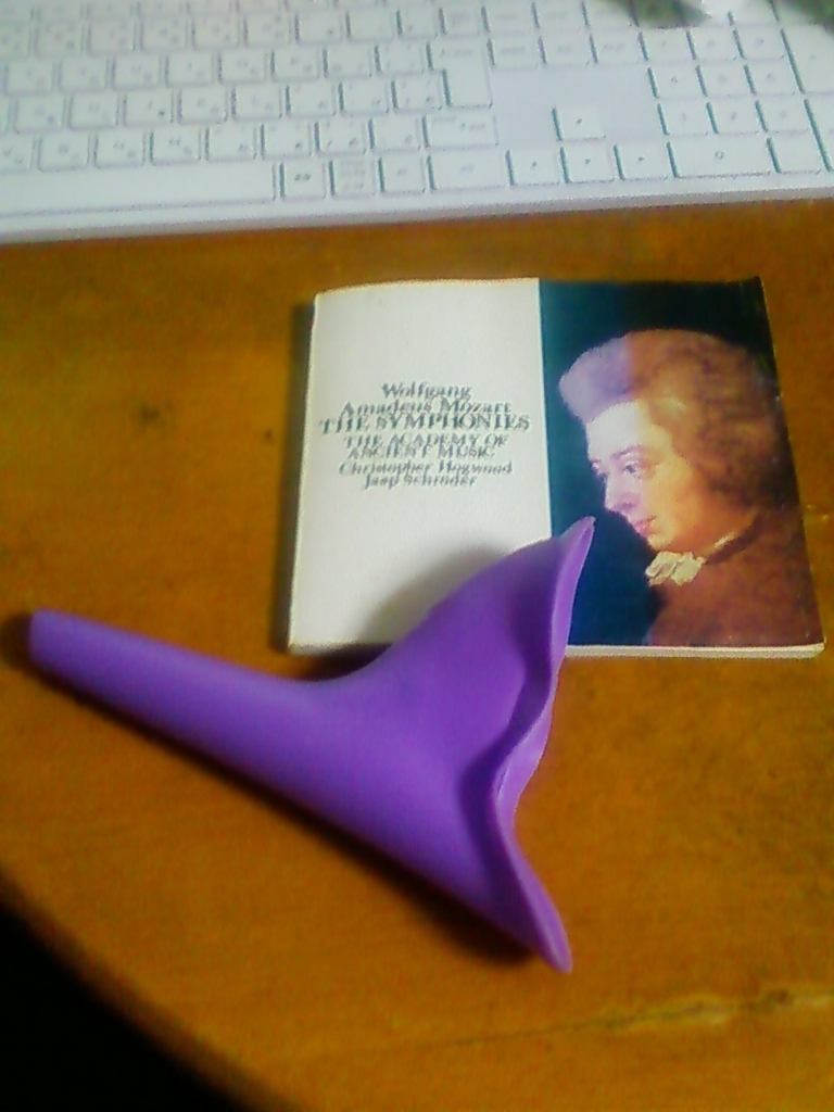 f:id:PASTORALE:20181228213037j:plain