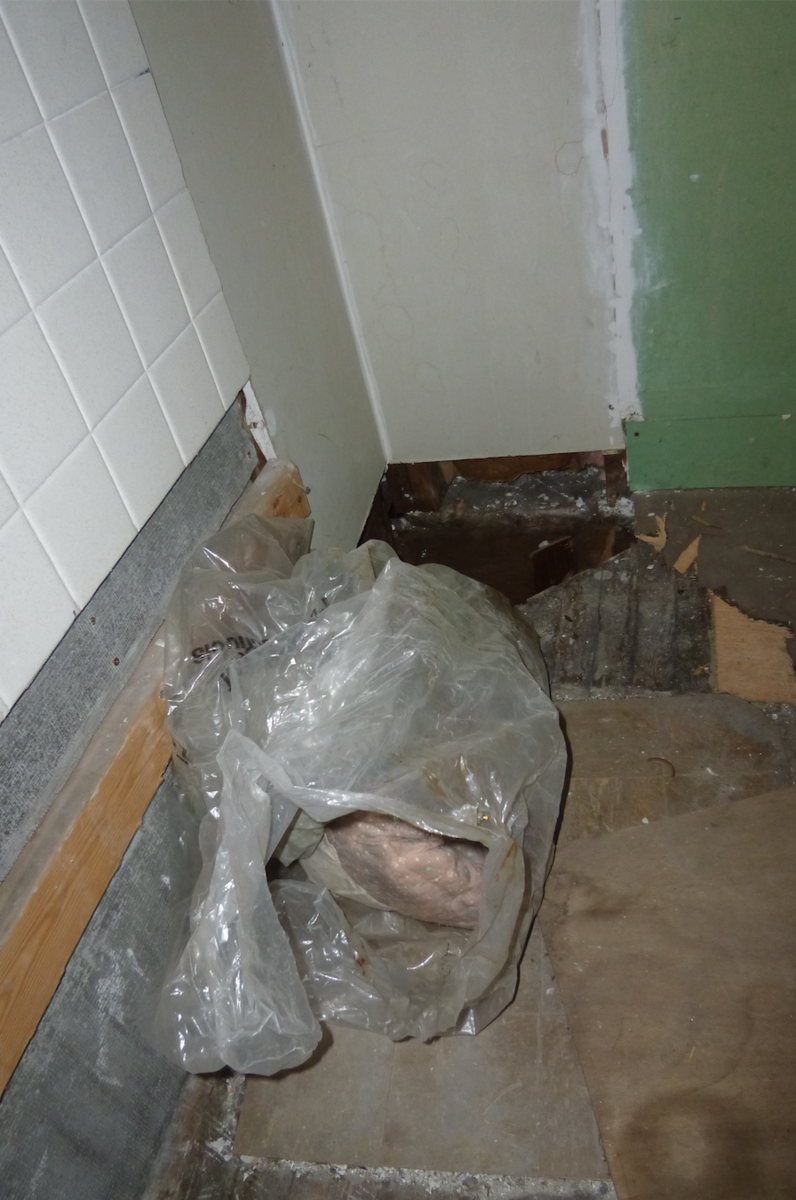 f:id:PDXtoDetroit:20200213141440p:plain f:id:PDXtoDetroit:20200213141440p:plain