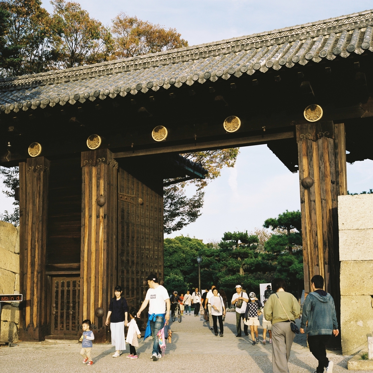 f:id:PE110:20191123182906j:plain